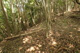 豊前 青山城G砦の写真