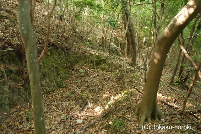 豊前 青山城の写真