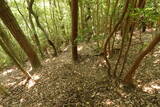 豊前 青山城の写真