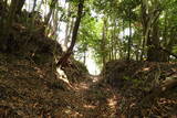豊前 青山城の写真