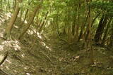 豊前 青山城の写真