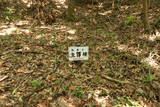豊前 青山城の写真