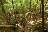 豊前 青山城の写真