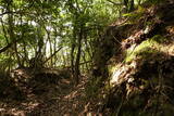 豊前 青山城の写真