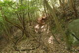 豊前 青山城の写真