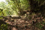 豊前 青山城の写真