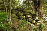 豊前 青山城の写真