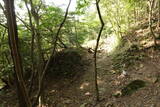 豊前 青山城の写真