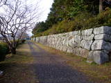 豊前 旭城の写真