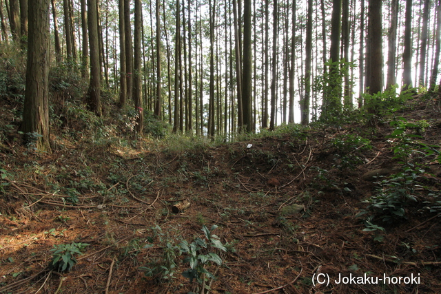 豊前 堂山城の写真