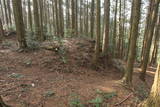 豊前 堂山城の写真