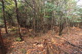 豊前 八田城の写真