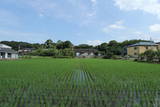 豊前 法華寺城の写真