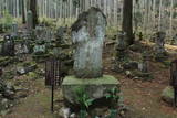 豊前 本庄城の写真