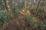 豊前 本庄城北砦の写真