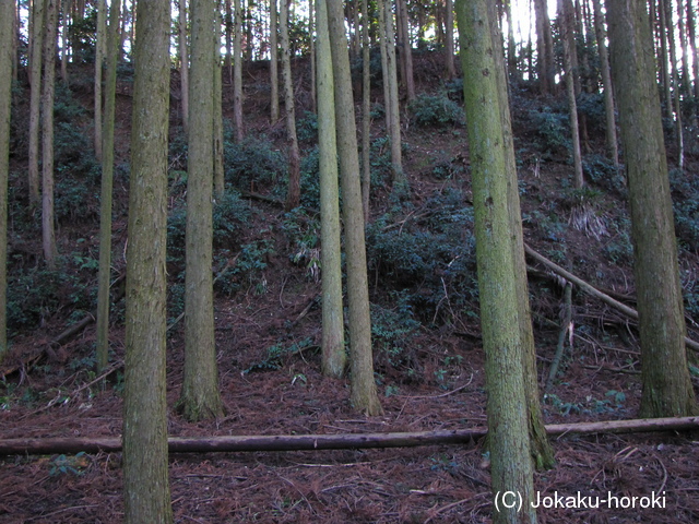 豊前 城平城の写真