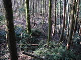 豊前 城平城の写真