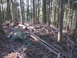 豊前 城平城の写真