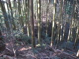 豊前 城平城の写真