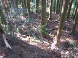 豊前 城平城の写真