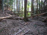 豊前 城平城の写真
