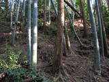 豊前 城平城の写真