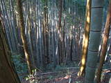 豊前 城平城の写真