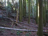豊前 城平城の写真