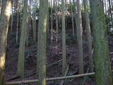 豊前 城平城の写真