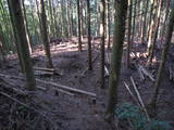 豊前 城平城の写真