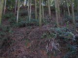 豊前 城平城の写真