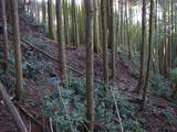 豊前 城平城の写真