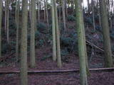 豊前 城平城の写真