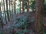 豊前 城平城の写真