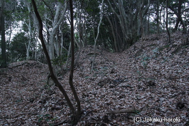 豊前 釜倉城の写真