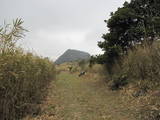 豊前 香春岳城の写真