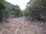豊前 香春岳城の写真