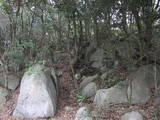 豊前 香春岳城の写真