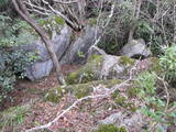 豊前 香春岳城の写真