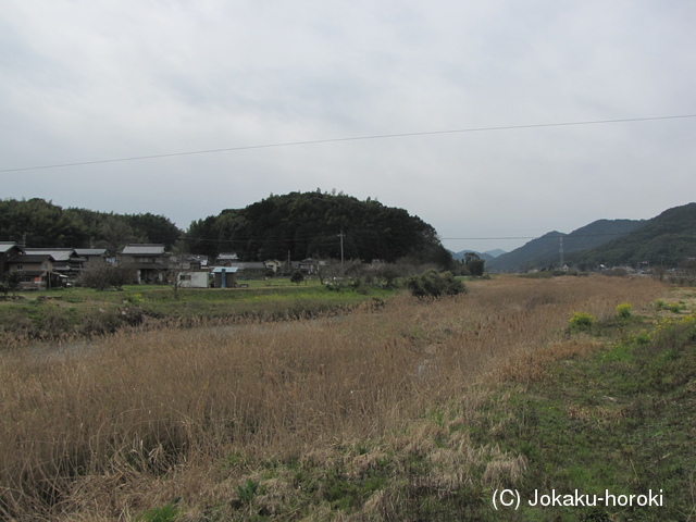 豊前 山鹿城の写真