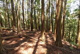 豊前 馬台城の写真