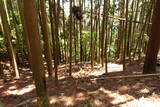 豊前 馬台城の写真