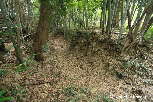 豊前 秣城の写真