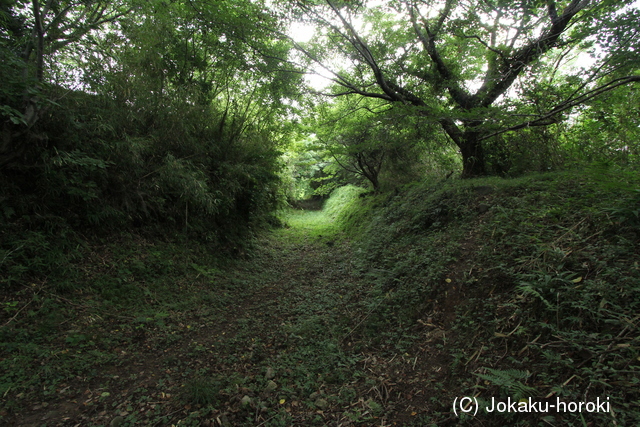 豊前 光岡城の写真