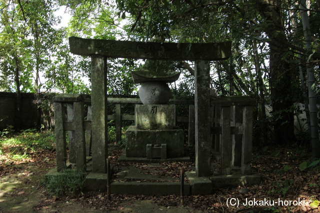 豊前 森山城の写真