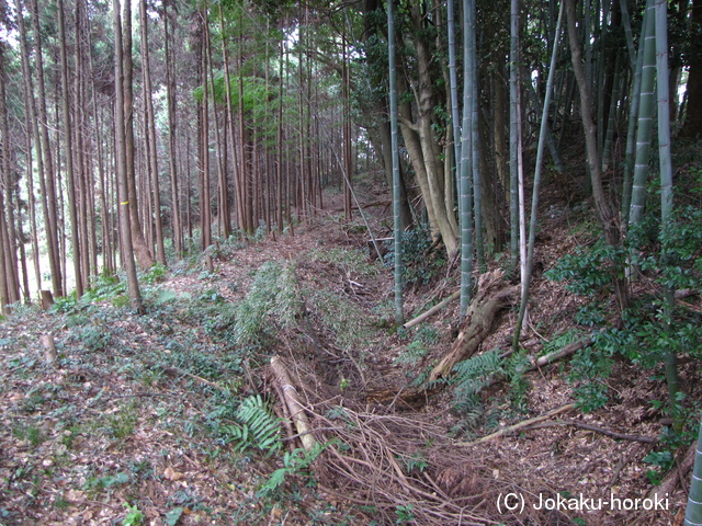 豊前 明神山城の写真