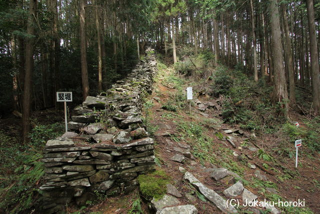 豊前 長岩城の写真