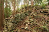 豊前 長岩城の写真
