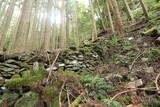 豊前 長岩城の写真