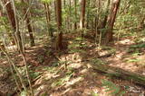 豊前 長野城の写真